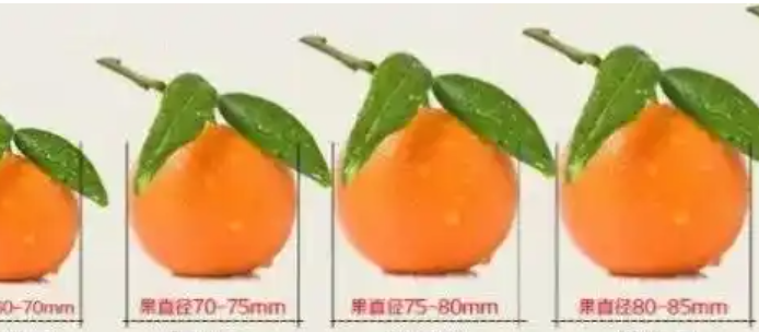 如何把握绩效考核的颗粒度？粗一些，还是细一些